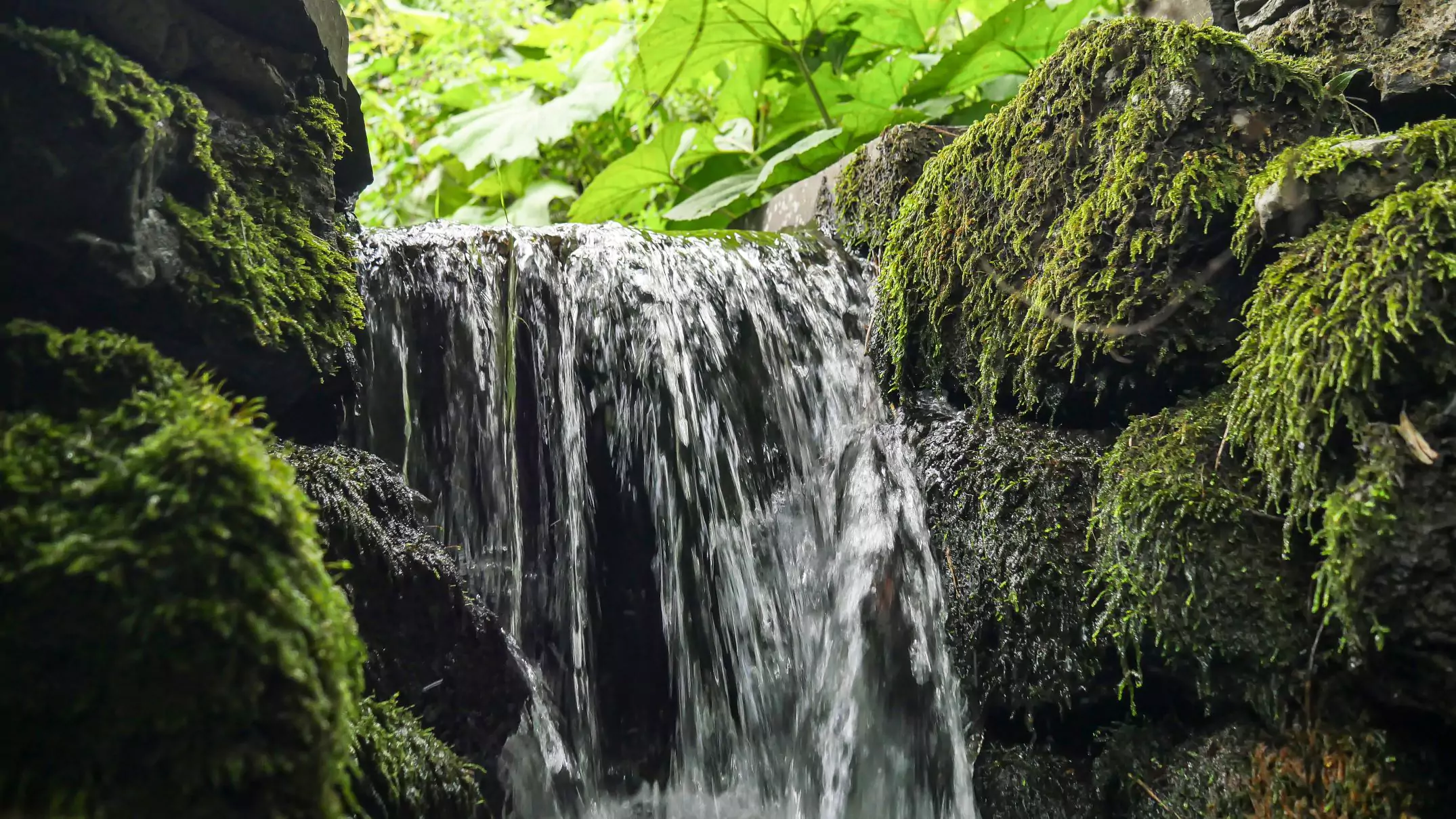 photo of a small waterfall in the house grounds